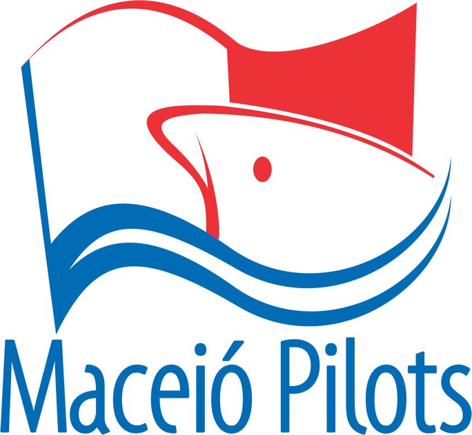 Logo SEAL Pilots